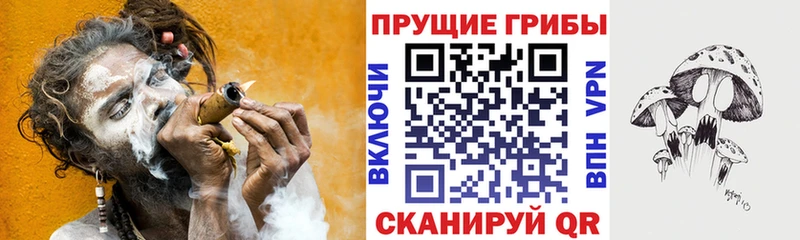 цена   Дюртюли  Псилоцибиновые грибы Magic Shrooms 