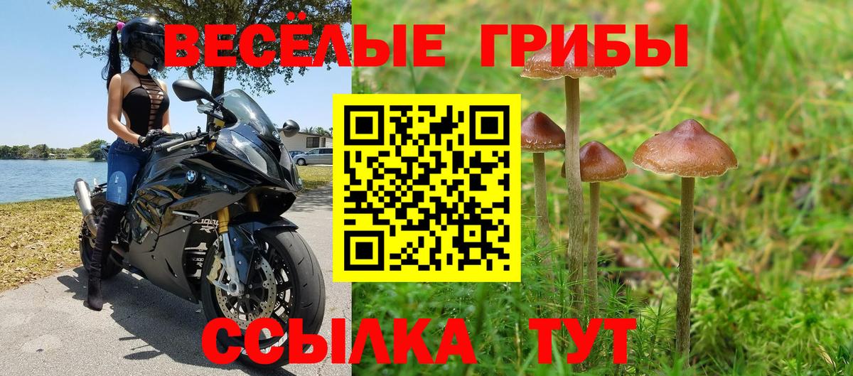 Псилоцибиновые грибы MAGIC MUSHROOMS Дюртюли