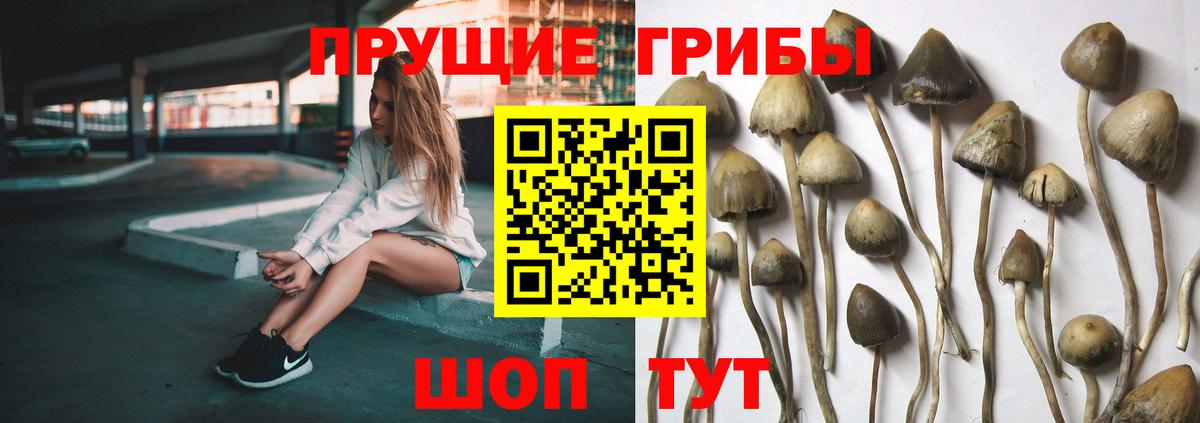 Дюртюли  дарнет шоп  Вход с VPN  Галлюциногенные грибы мицелий 